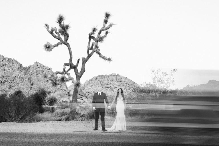 Young Fun in Joshua Tree | Elopement Wedding Photos