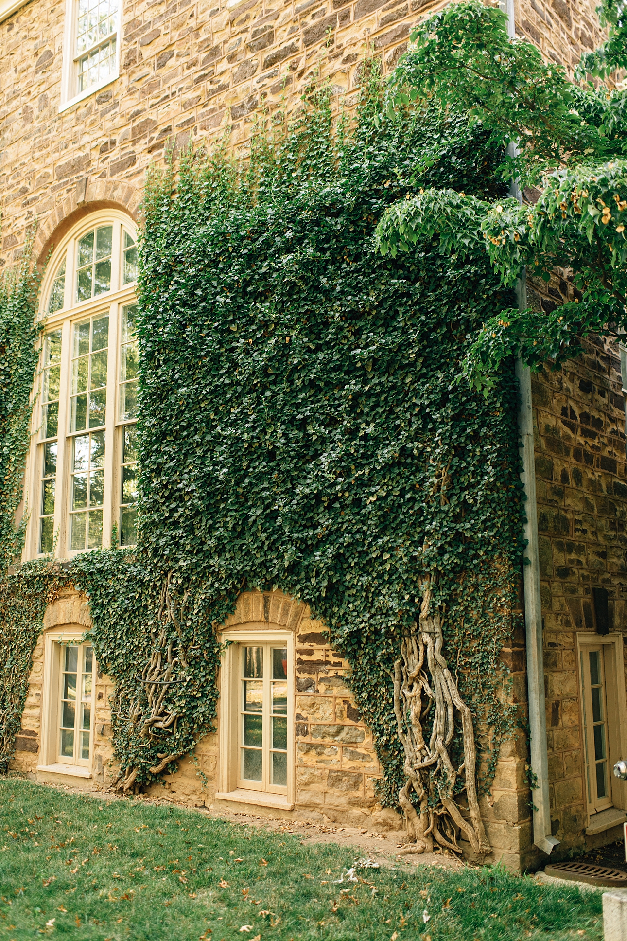 timeless Princeton University engagement portraits in natural light