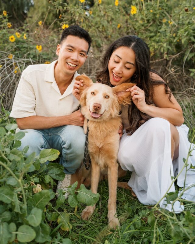 pov: you brought your cutie pup to your engagement session 🥹🐶 @theweddingplanandcompany @theweddingplanandco_christie #dogsofinstagram
